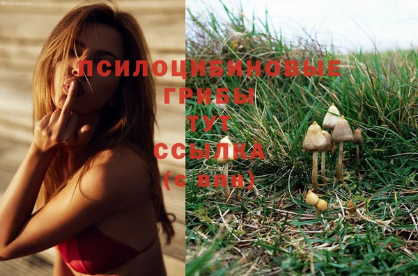 бутират Алексеевка