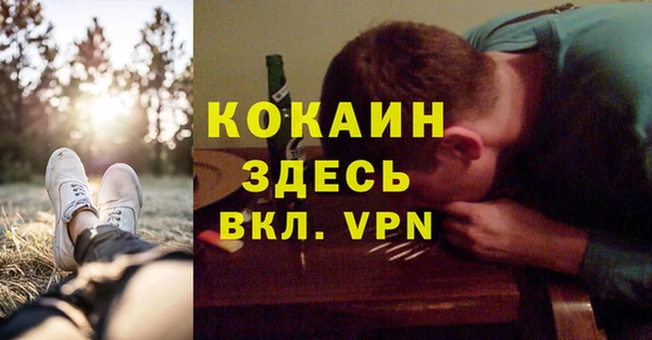 дмт Алексин