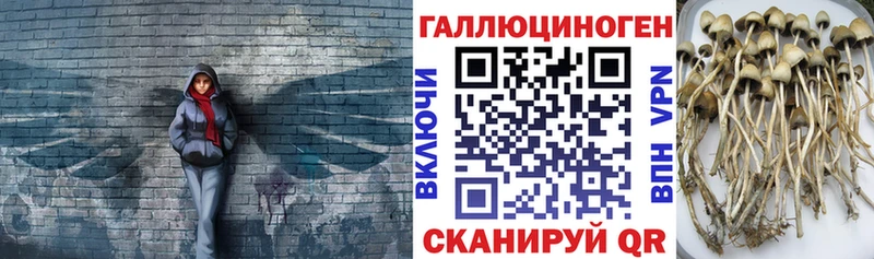ссылка на мегу вход Оленегорск Галлюциногенные грибы MAGIC MUSHROOMS купить наркотики сайты